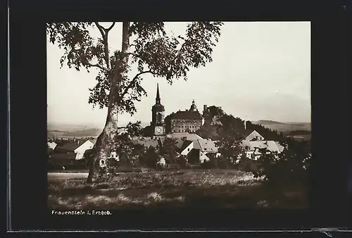 AK Frauenstein i. Erzgeb., Baum vor der Ortschaft mit Rathaus