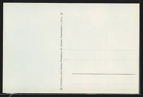 AK Frauenstein i. Erzgeb., Baum vor der Ortschaft mit Rathaus