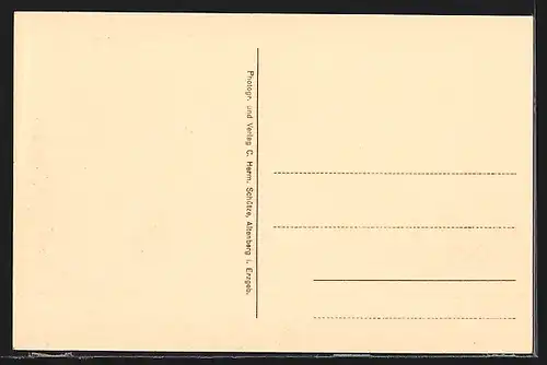 AK Altenberg / Erzg., Teilansicht mit Blick in die Pinge