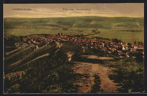 AK Hammelburg, Blick vom Heroldsberg