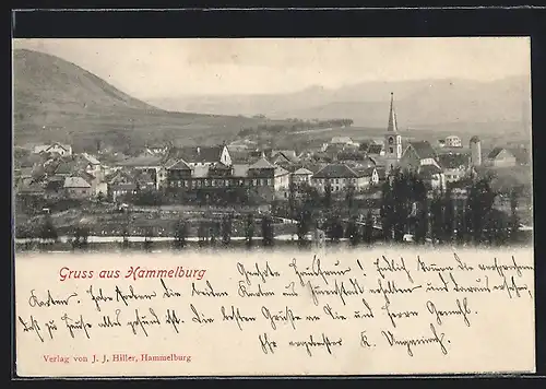 AK Hammelburg, Ortsansicht mit Kirche u. Berg