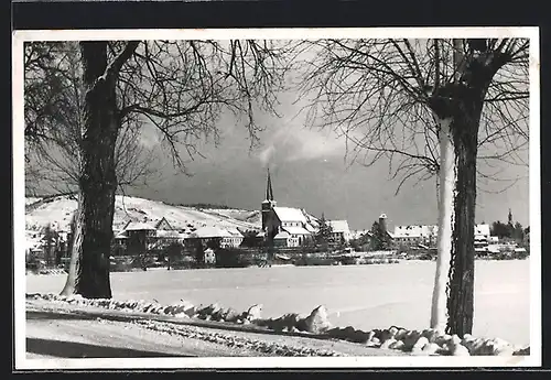 AK Hammelburg, Ortsansicht mit Bäumen im Schnee