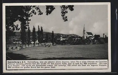 AK Hammelburg a. d. S., Ortsansicht aus der Ferne