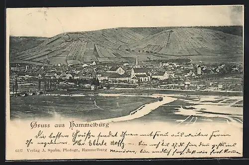 AK Hammelburg, Ortsansicht mit Blick auf Felder