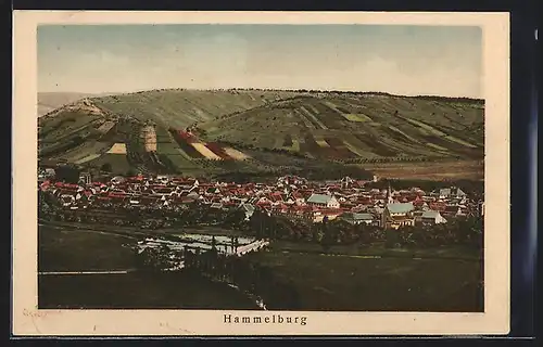 AK Hammelburg, Blick auf die Ortschaft u. umliegende Felder