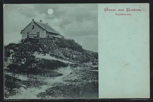 Mondschein-AK Borkum, Gasthaus Vogelkolonie mit Dünen