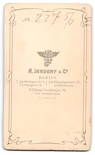 Fotografie A. Jandorf & Co., Berlin, Spittelmarkt 16 /17, Bürgerliche Dame im eleganten Kleid mit betontem Revers