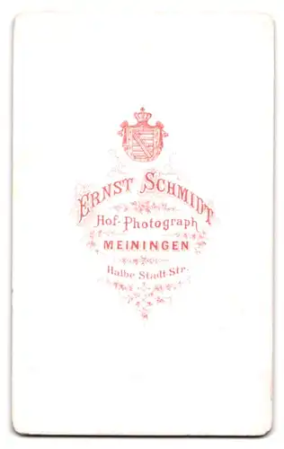 Fotografie Ernst Schmidt, Meiningen, Halbe Stadt-Str., Junge Dame im karierten Kleid mit hochgesteckten Haaren