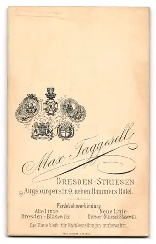 Fotografie M. Taggesell, Dresden, Augsburgerstr. 9, Junge Dame im Kleid mit betontem Revers und länglicher Brosche