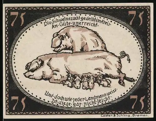 Notgeld Diepholz 1921, 75 Pfennig, Schweine mit Ferkeln