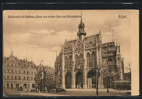 AK Erfurt, Fischmarkt mit Rathaus, Haus zum breiten Herd und Roldandstrasse