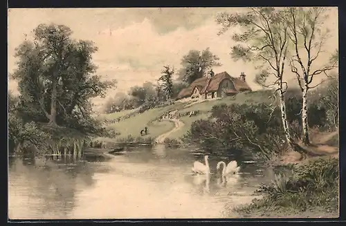 Künstler-AK Meissner & Buch (M&B) Nr. 1189: Schwäne in einem Weiher