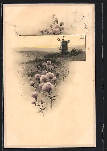 Künstler-AK Meissner & Buch (M&B) Nr. 1371: Windmühle in Landschaft mit Blumen