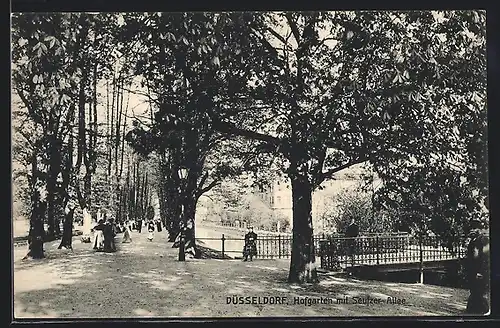 AK Düsseldorf, Hofgarten mit Seufzer-Allee