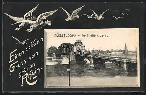 AK Düsseldorf, Rheinansicht mit Brücke, Brieftauben
