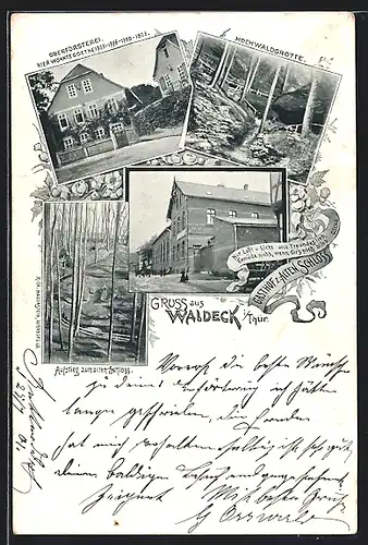 AK Waldeck i. Thür., Gasthof zum Alten Schloss, Oberförsterei, Hochwaldgrotte