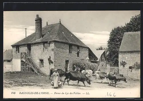 AK Bagnoles-de-L`Orne, Ferme du Lys des Vallees, Bauernhof mit Kühen