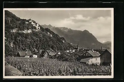 AK Vaduz / Liechtenstein, Ortsansicht mit Rappenstein