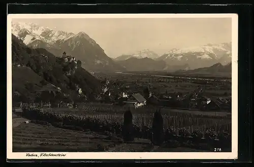 AK Vaduz, Ortspartie mit Bergen