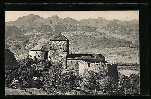 AK Vaduz, Schloss Vaduz mit Schweizer Bergen