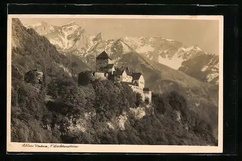 AK Vaduz, Schloss mit Gebirgspanorama