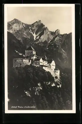 AK Vaduz, Schloss mit Bergen