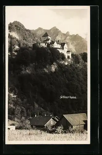 AK Vaduz, Schloss Vaduz mit Bergen