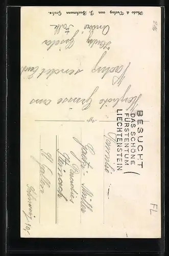 AK Vaduz, Schloss Vaduz mit Bergen