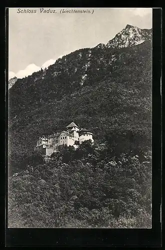 AK Vaduz, Blick zum Schloss