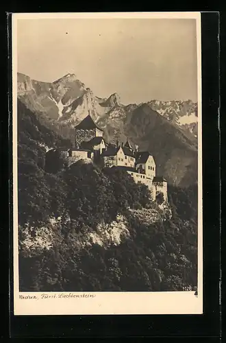 AK Vaduz, Panorama mit Schloss