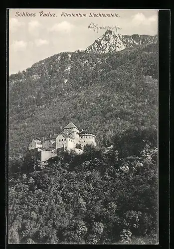 AK Vaduz, Schloss Vaduz