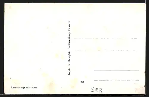 AK Pancevo, Blick auf das Justizgebäude