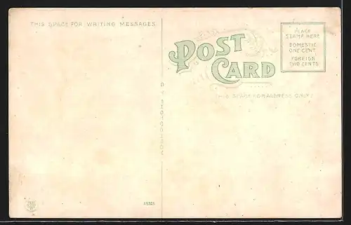 AK Pensacola, FL, L. & N. Docks, the finest in the World