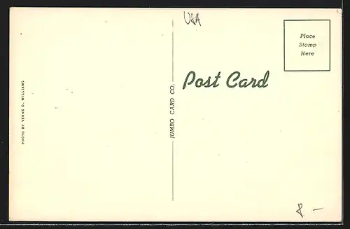 AK Miama, FL, Yacht Basin and City Skyline