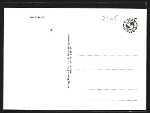 AK Schuby /Schleswig, Kirche, Denkmal, Strassenpartie