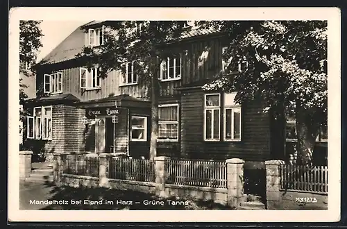 AK Mandelholz, Grüne Tanne