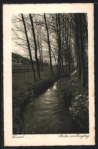 AK Dassel, Partie am Burgberg