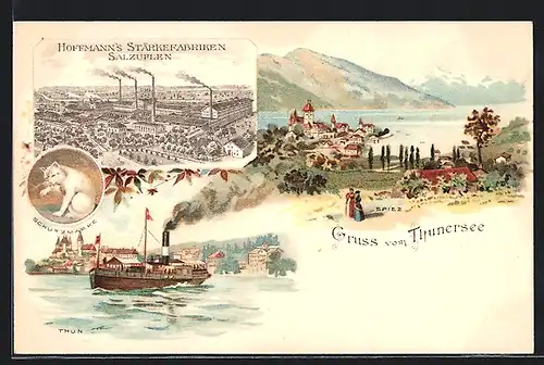 Lithographie Thun, Dampferfahrt auf dem Thunersee, Ortspanorama, Hoffmann's Stärkefabriken Salzuflen