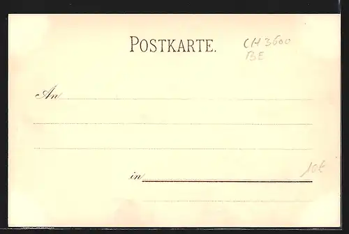 Lithographie Thun, Dampferfahrt auf dem Thunersee, Ortspanorama, Hoffmann's Stärkefabriken Salzuflen