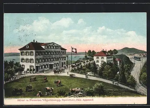 Künstler-AK Speicher / Appenzell, Hotel und Pension Vögelinsegg