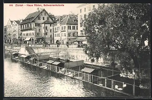 AK Zürich, Haus Rüden, Schwanenkolonie