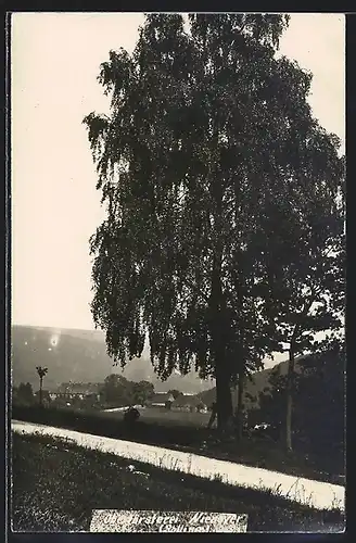Foto-AK Nienover, Blick zur Oberförsterei