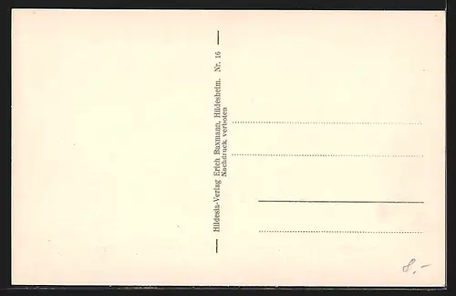 AK Braunschweig, Burg Dankwarderode