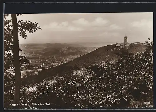 AK Hagen i. W., Blick ins Tal