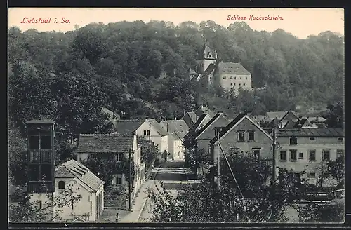 AK Liebstadt i. Sa., Ortsansicht mit Schloss Kuckuckstein
