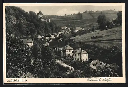 AK Liebstadt i. Sa., Pirnaische Strasse mit Villen