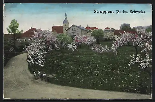 AK Struppen / Sächs. Schweiz, Ortsansicht mit Kirche