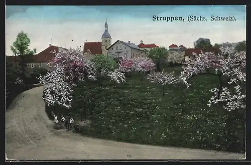 AK Struppen / Sächs. Schweiz, Ortsansicht mit Kirche