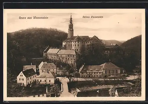 AK Weesenstein, Ortsansicht mit Schloss Weesenstein
