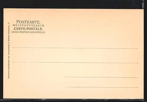 AK Lüneburg, Totalansicht